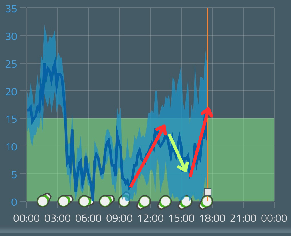 Baliza del Pla d'Adet a las 17:29